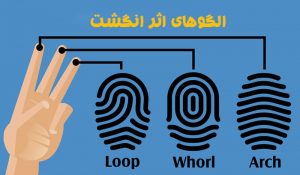 اثر انگشت
